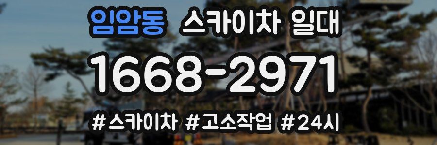 임암동 스카이차 일대