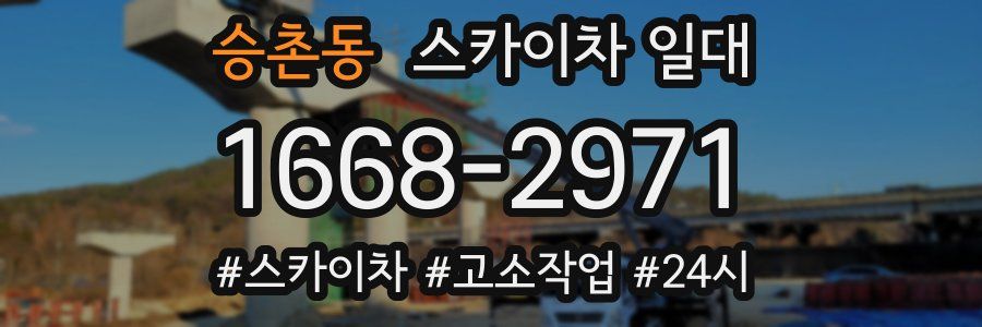 승촌동 스카이차 일대