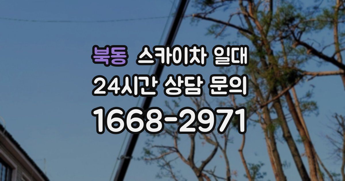 북동 스카이차 일대