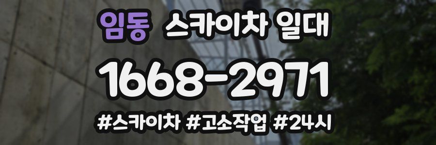 임동 스카이차 일대