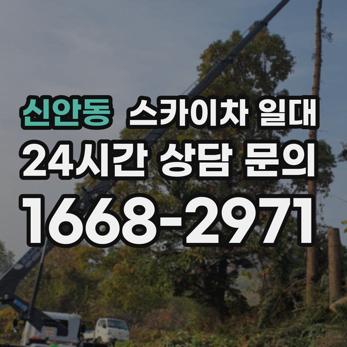 신안동 스카이차 일대