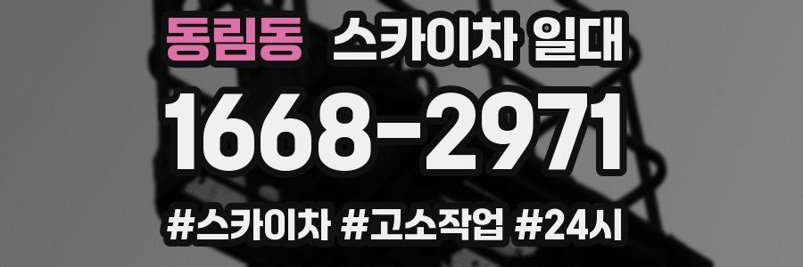 동림동 스카이차 일대