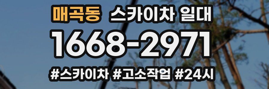 매곡동 스카이차 일대