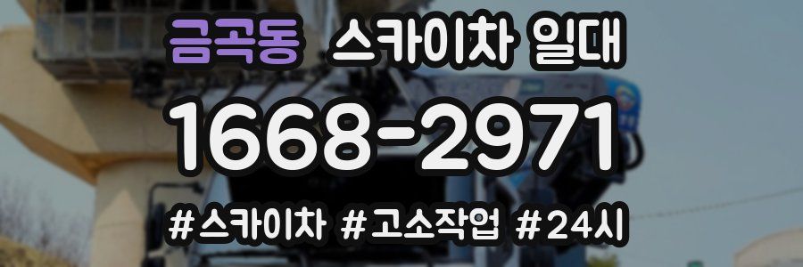 금곡동 스카이차 일대