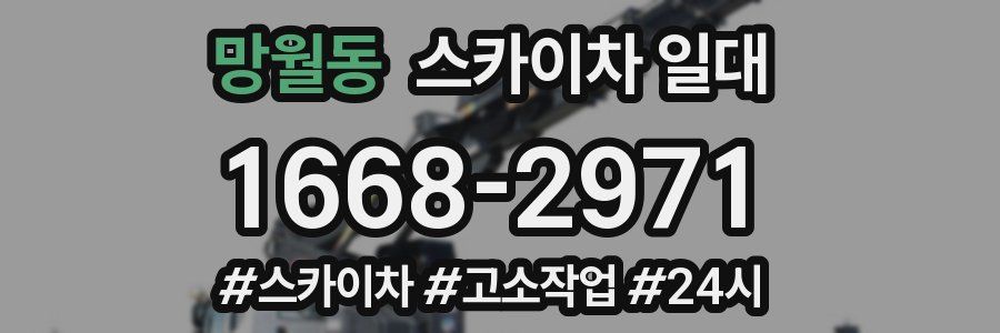 망월동 스카이차 일대