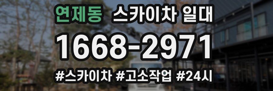 연제동 스카이차 일대