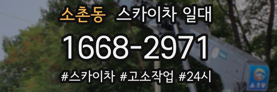 소촌동 스카이차 일대