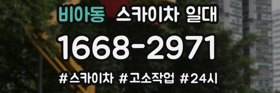 비아동 스카이차 일대