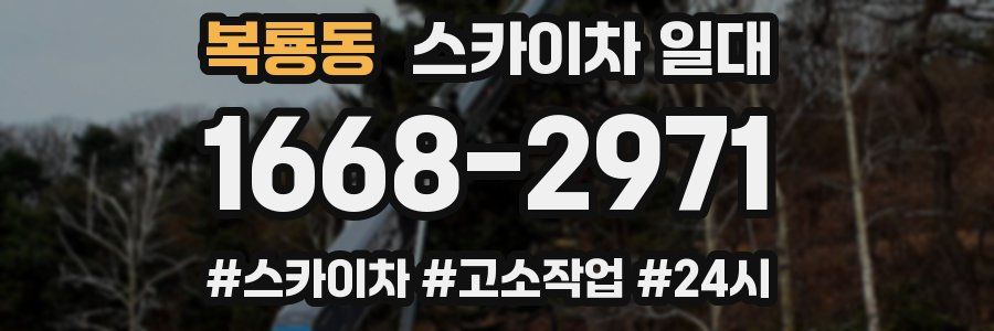 복룡동 스카이차 일대