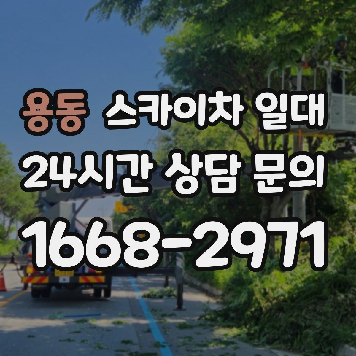 용동 스카이차 일대