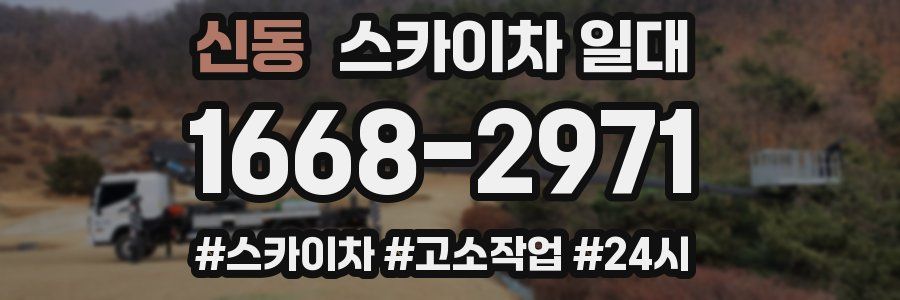 신동 스카이차 일대