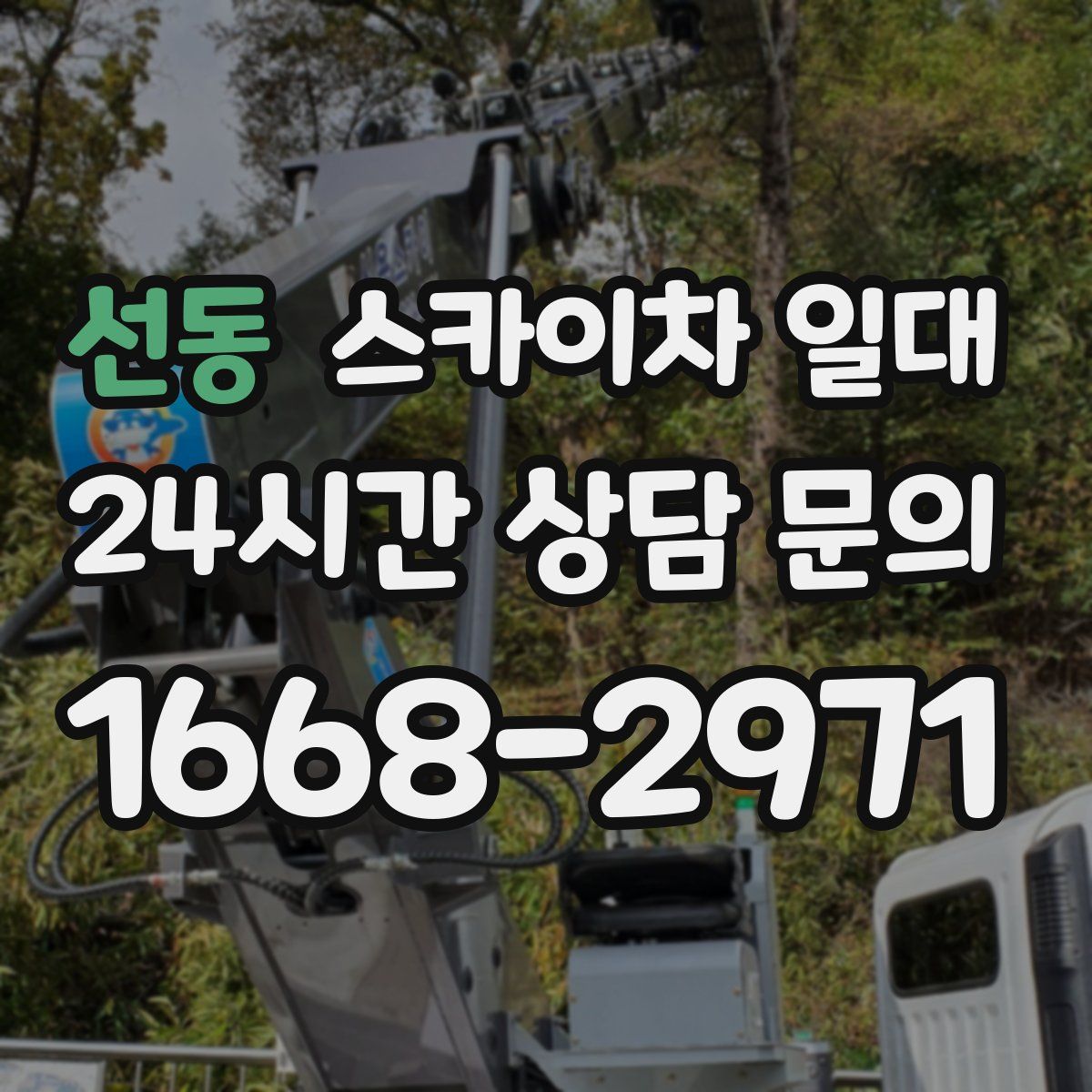 선동 스카이차 일대