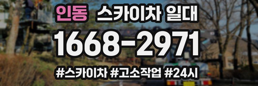 인동 스카이차 일대