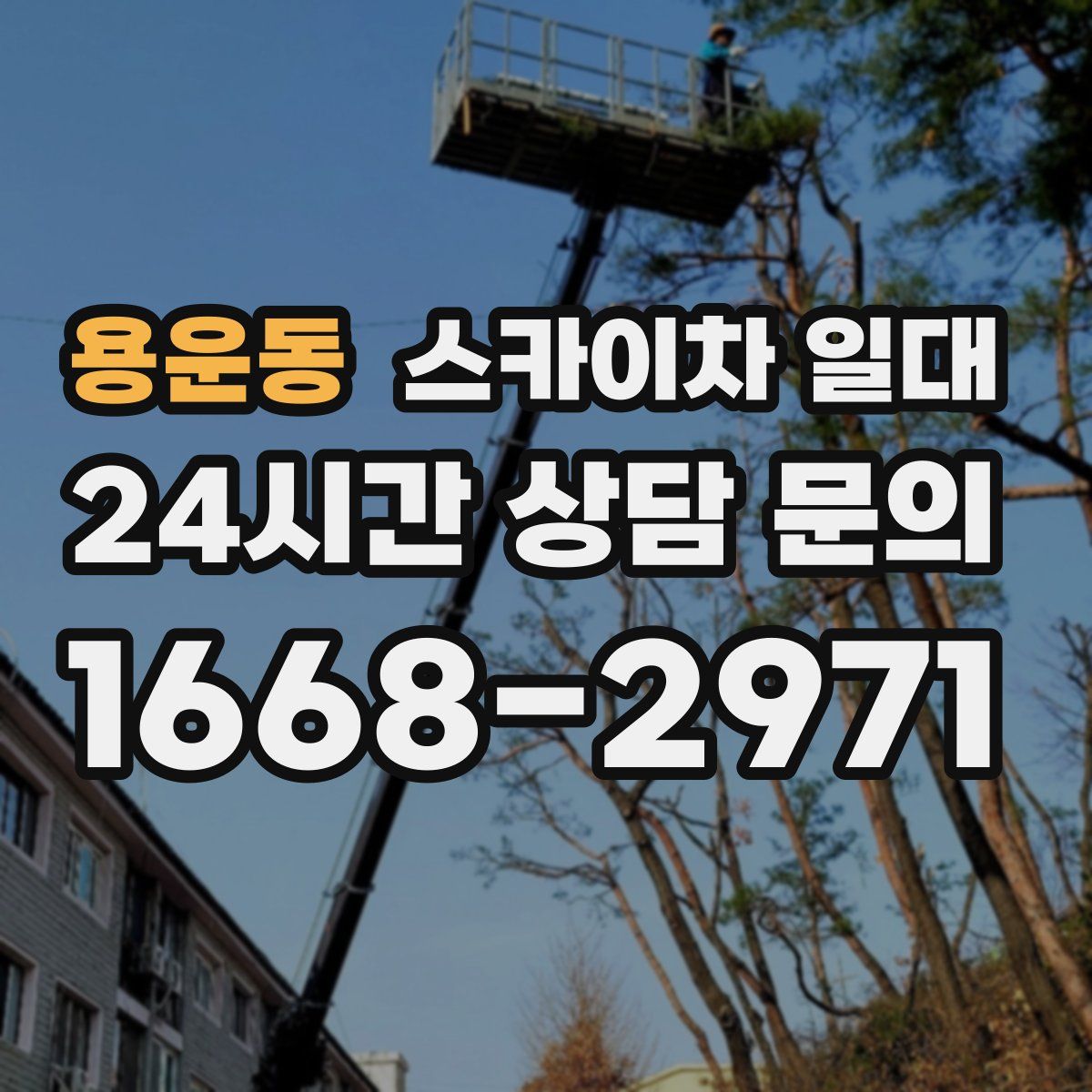 용운동 스카이차 일대