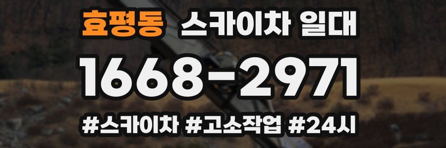 효평동 스카이차 일대