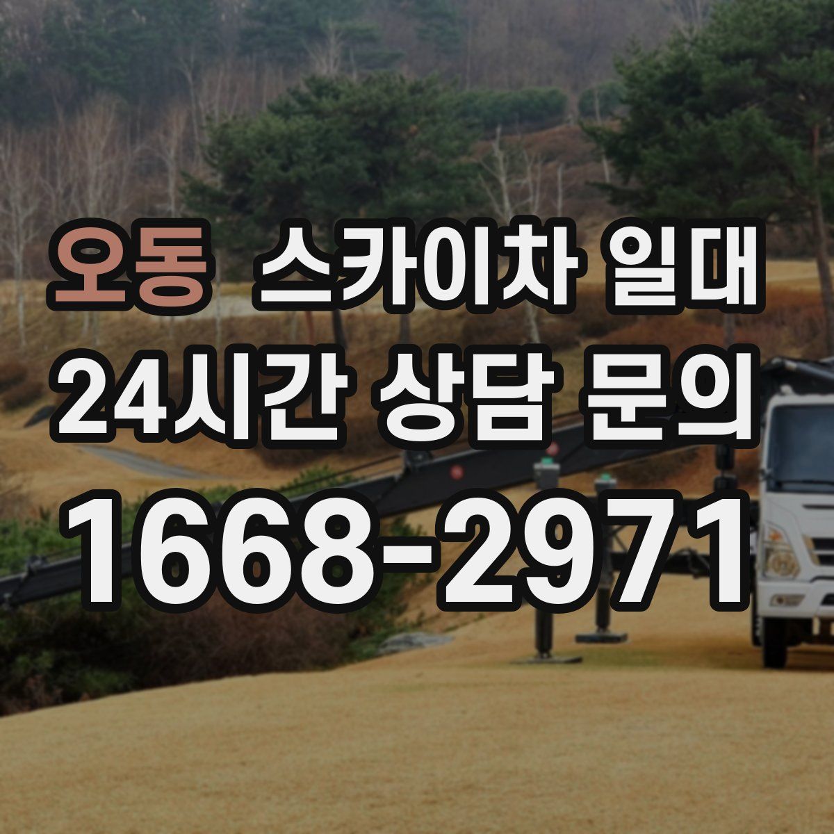 오동 스카이차 일대