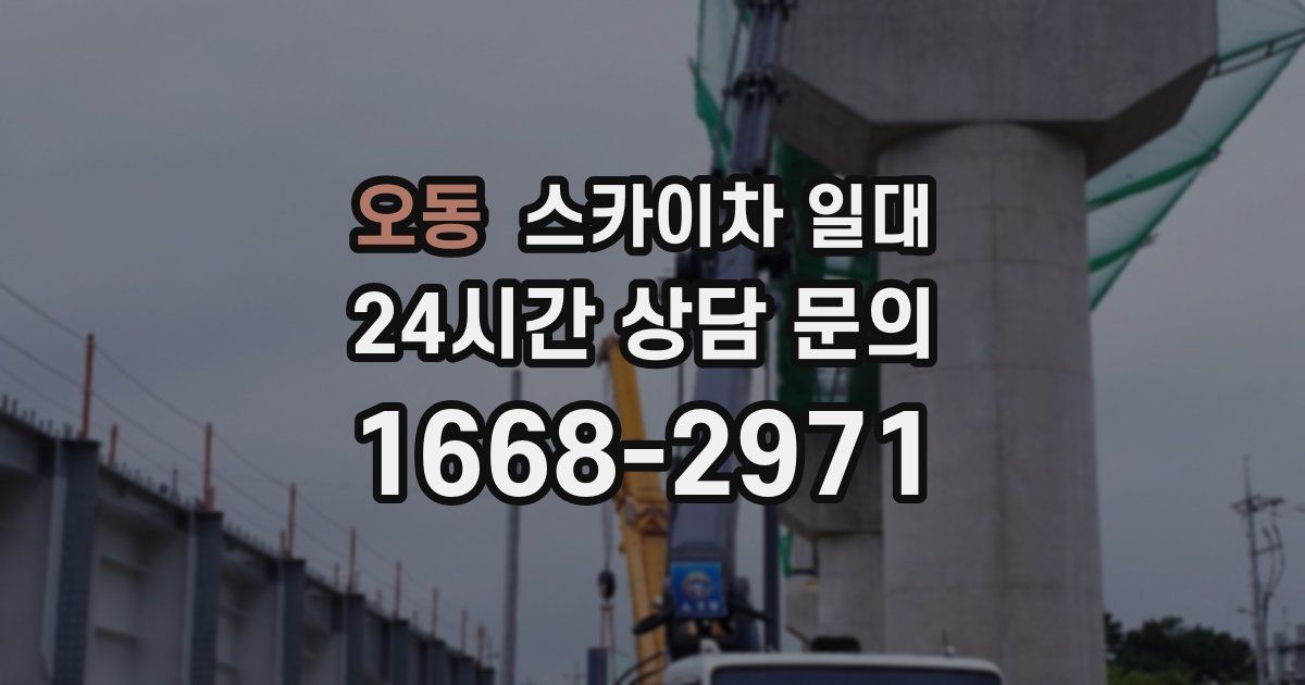 오동 스카이차 일대