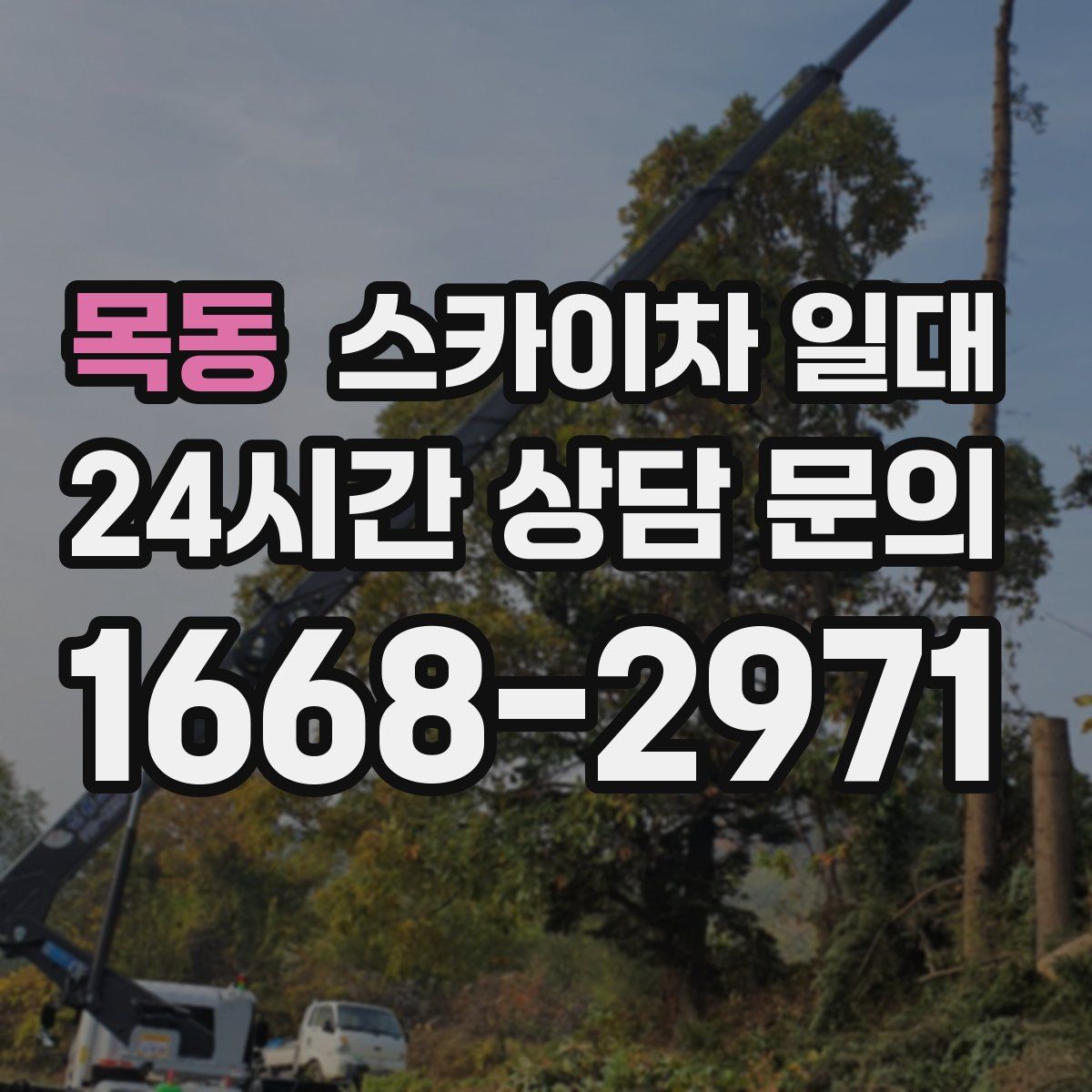 목동 스카이차 일대