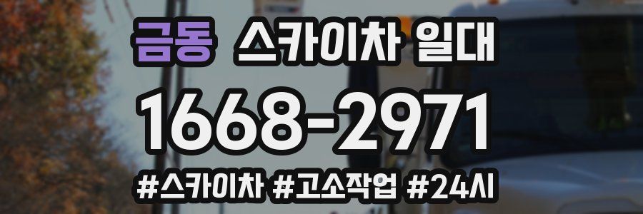 금동 스카이차 일대