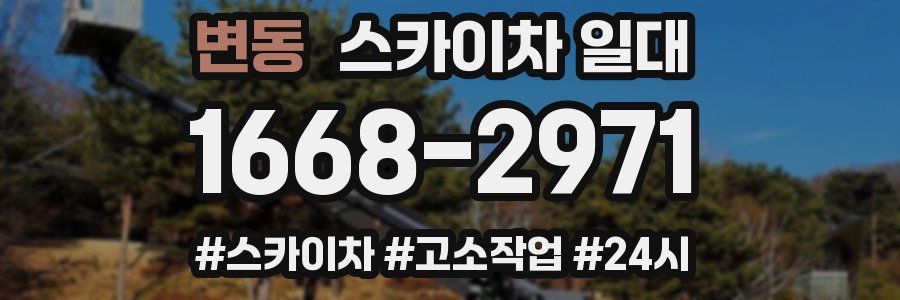 변동 스카이차 일대