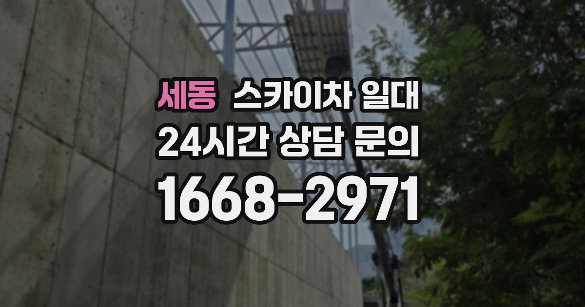 세동 스카이차 일대