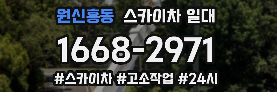 원신흥동 스카이차 일대