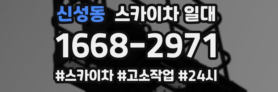 신성동 스카이차 일대