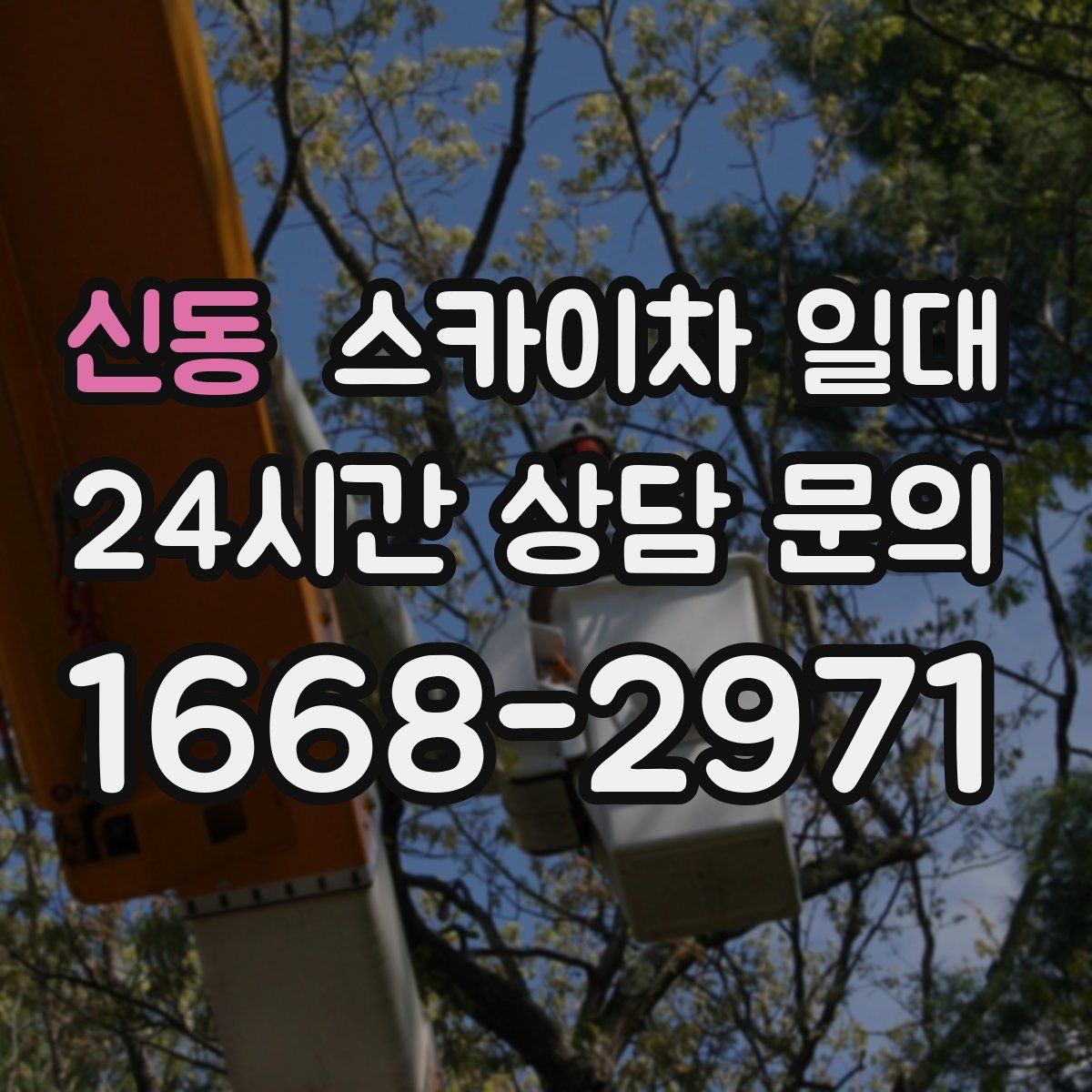 신동 스카이차 일대