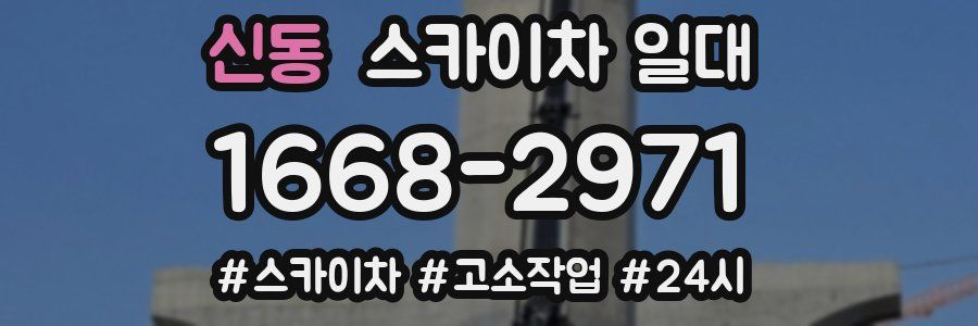 신동 스카이차 일대