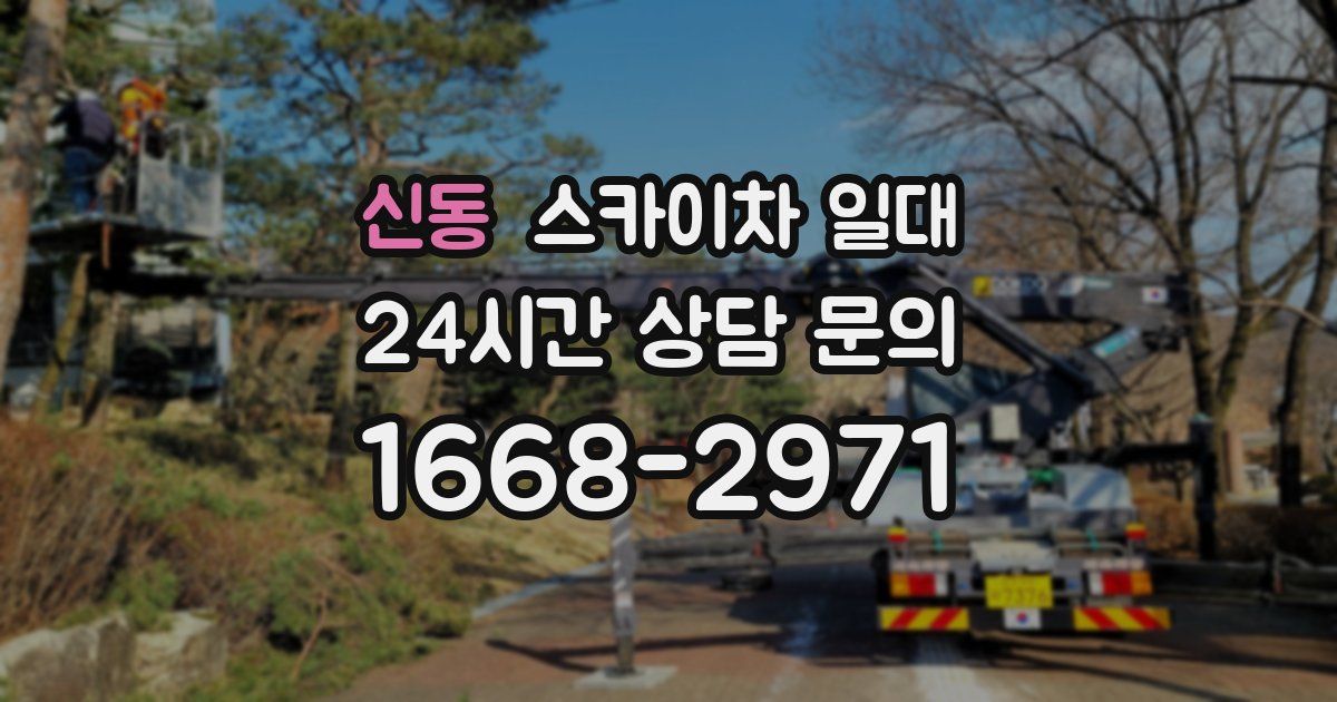 신동 스카이차 일대