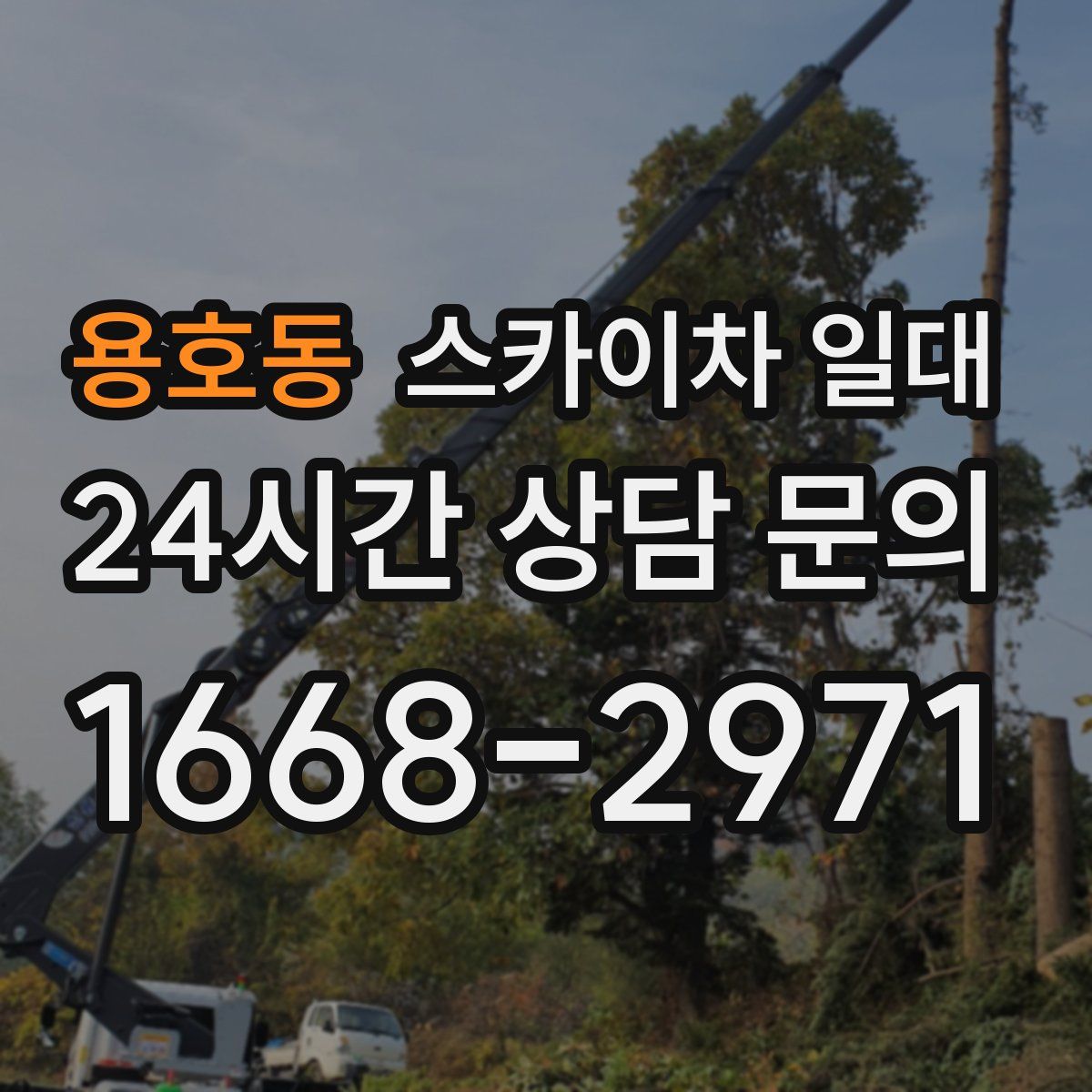 용호동 스카이차 일대