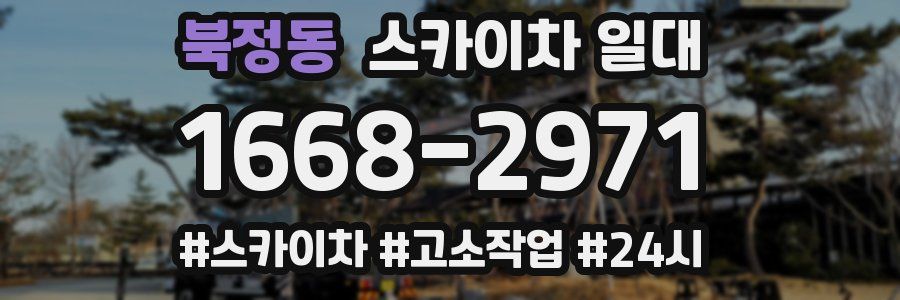 북정동 스카이차 일대