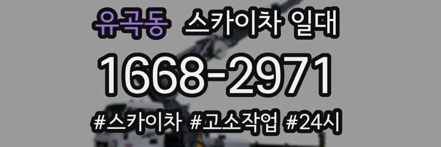 유곡동 스카이차 일대