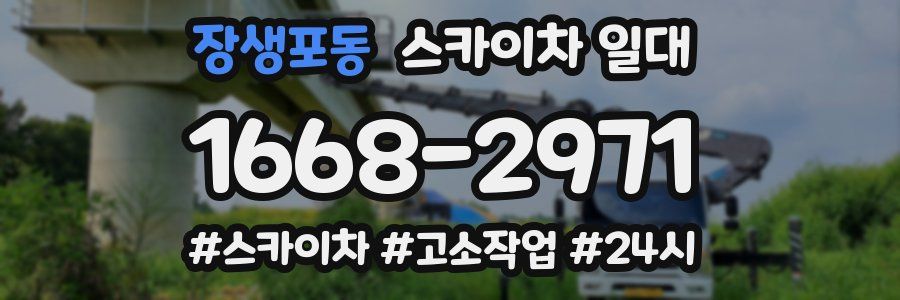 장생포동 스카이차 일대