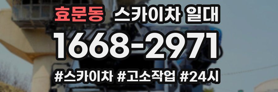 효문동 스카이차 일대