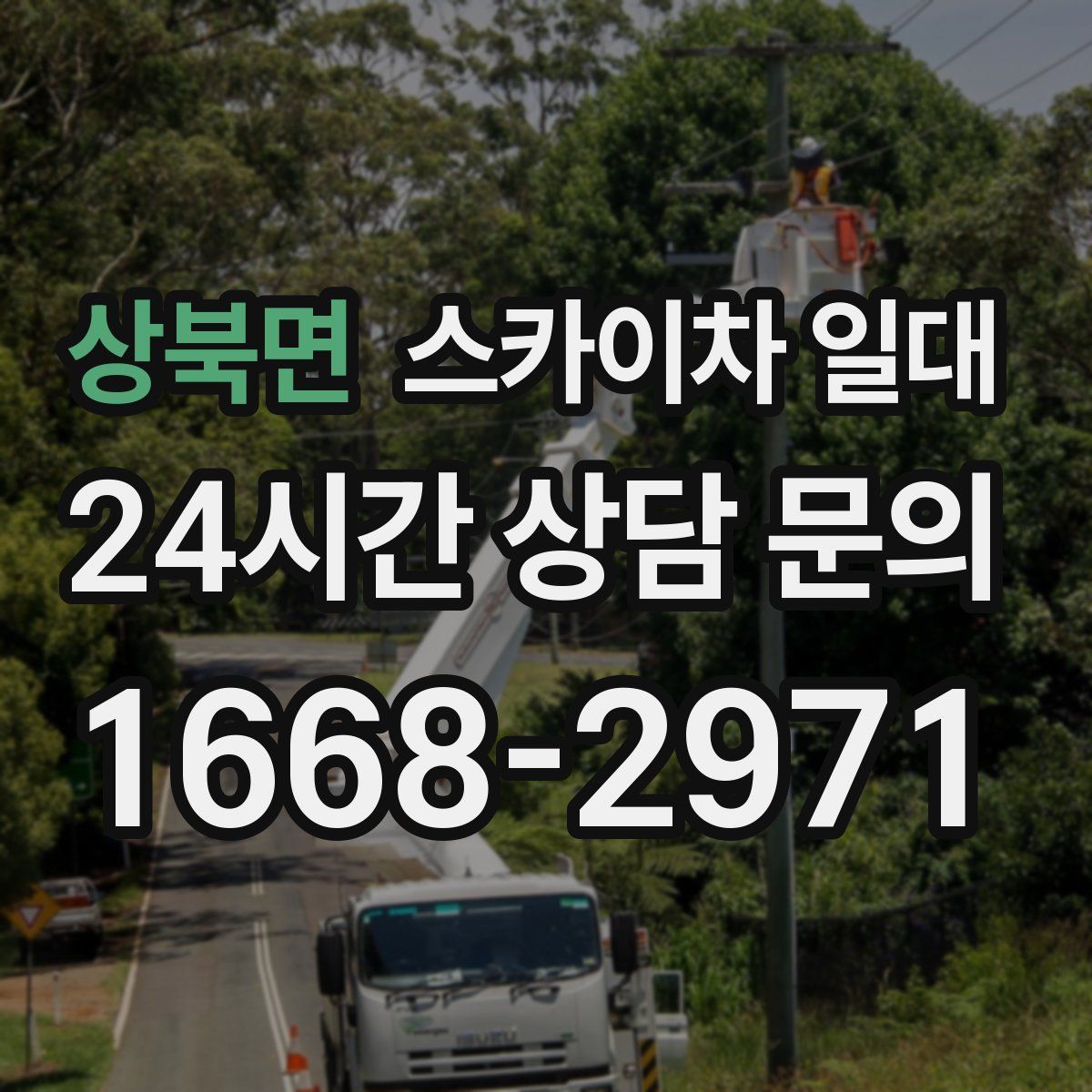 상북면 스카이차 일대