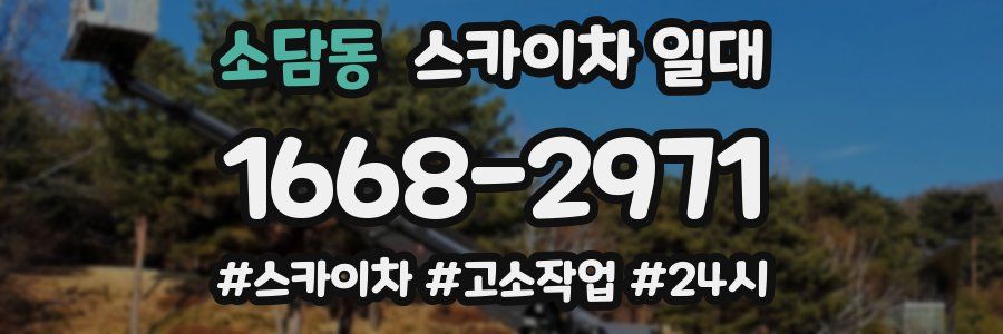 소담동 스카이차 일대