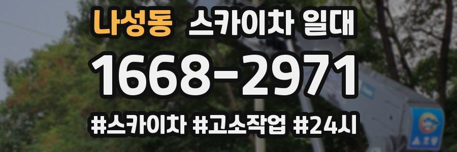 나성동 스카이차 일대