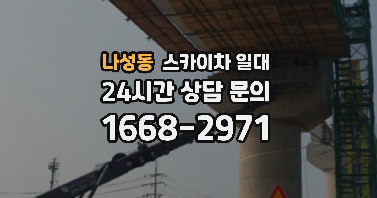 나성동 스카이차 일대