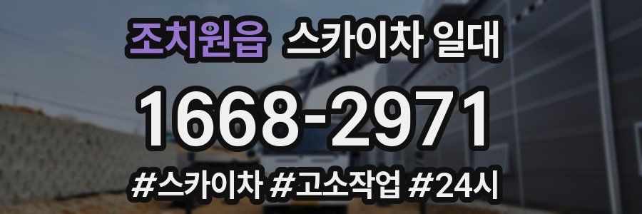 조치원읍 스카이차 일대