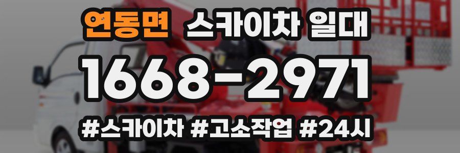 연동면 스카이차 일대