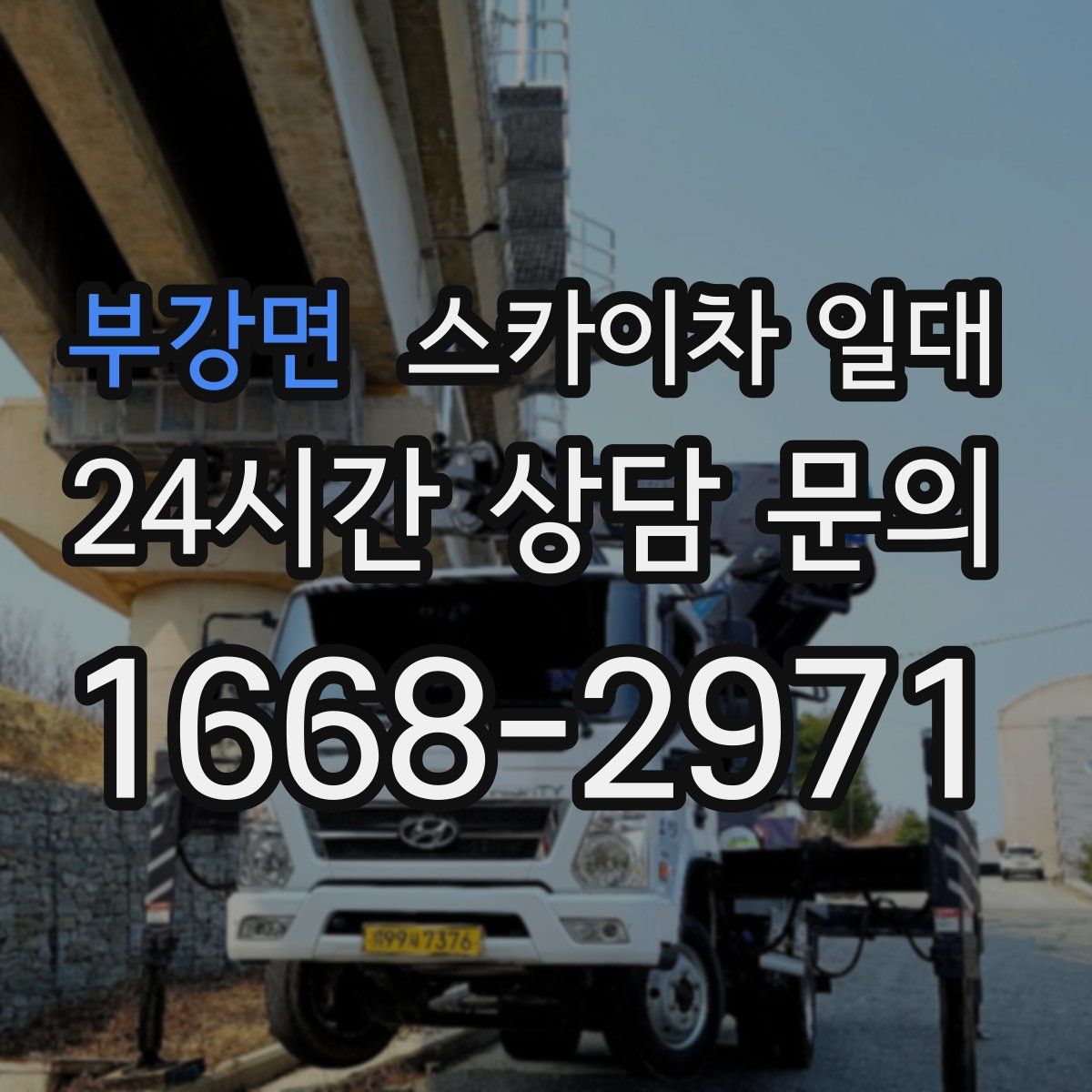 부강면 스카이차 일대