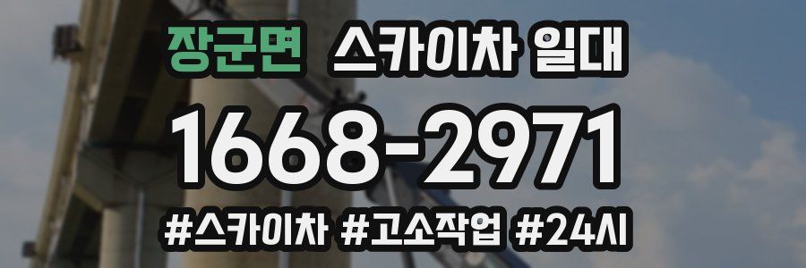 장군면 스카이차 일대