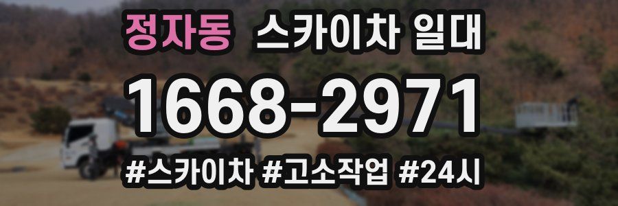 정자동 스카이차 일대