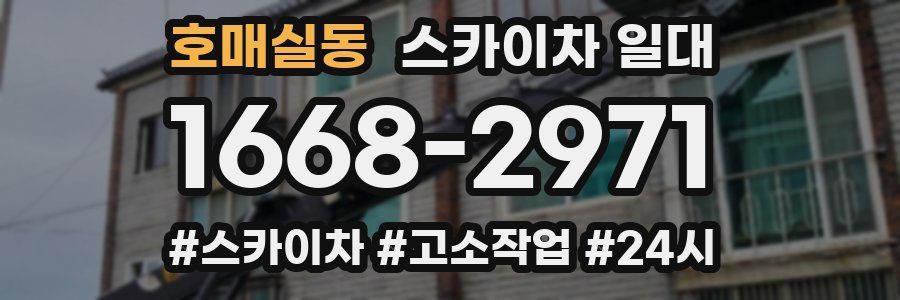 호매실동 스카이차 일대