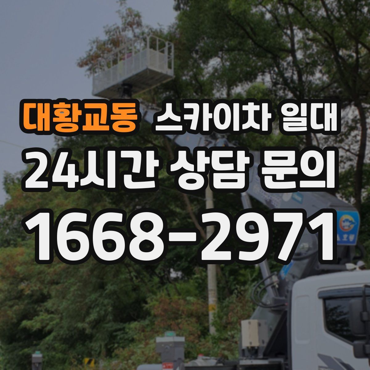 대황교동 스카이차 일대