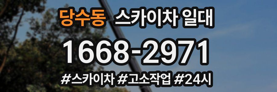 당수동 스카이차 일대