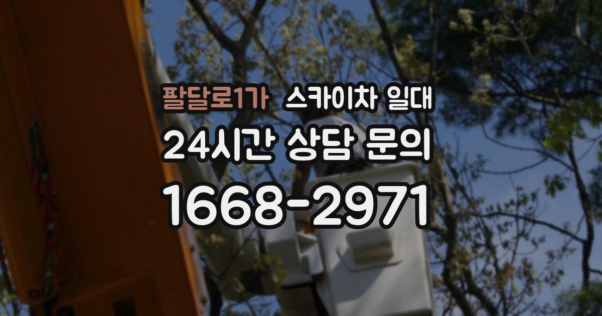 팔달로1가 스카이차 일대