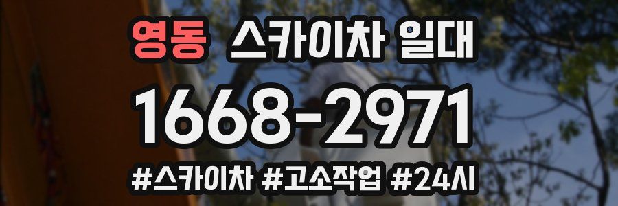 영동 스카이차 일대