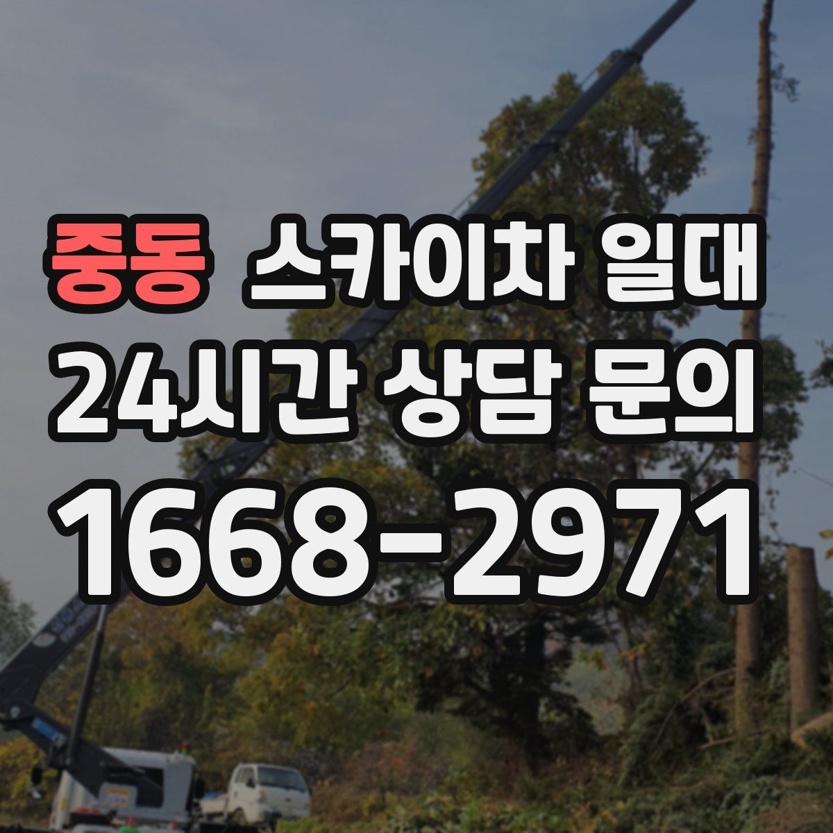 중동 스카이차 일대